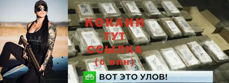 Cocaine FishScale  shop официальный сайт  Торжок  где найти наркотики 